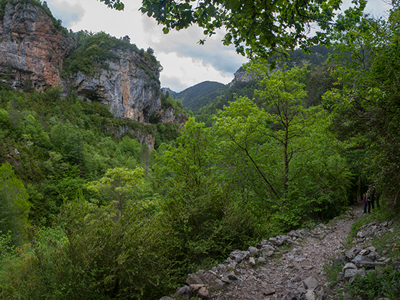 Anisclo-Mirador-D